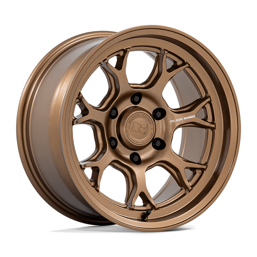 17x8.5 Black Rhino Hard Alloys BR017 ETOSHA 6x114.3 20 offset 66.06 hub BRONZE - BR017ZX17856420