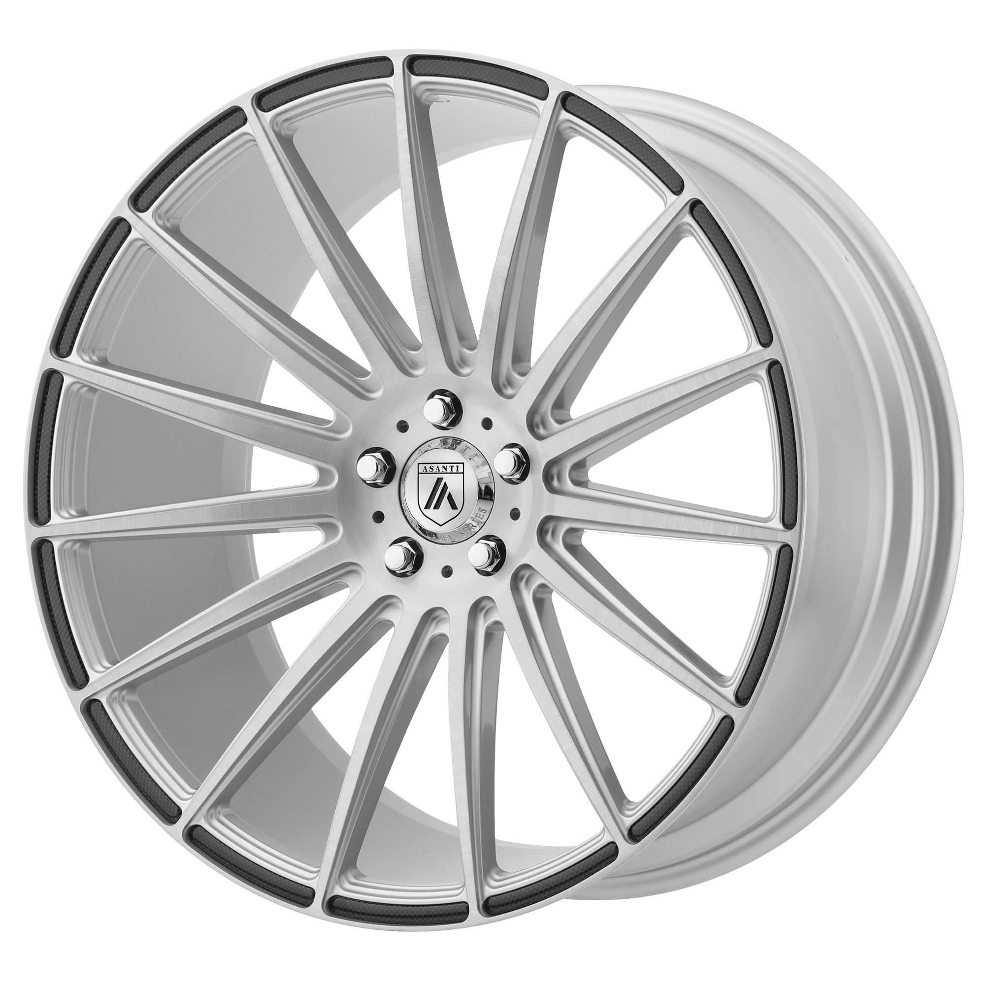 22x10.5 Asanti Black Label Wheels ABL-14 POLARIS 5x120 25 offset 72.56 hub SILVER - ABL14-22055625SL