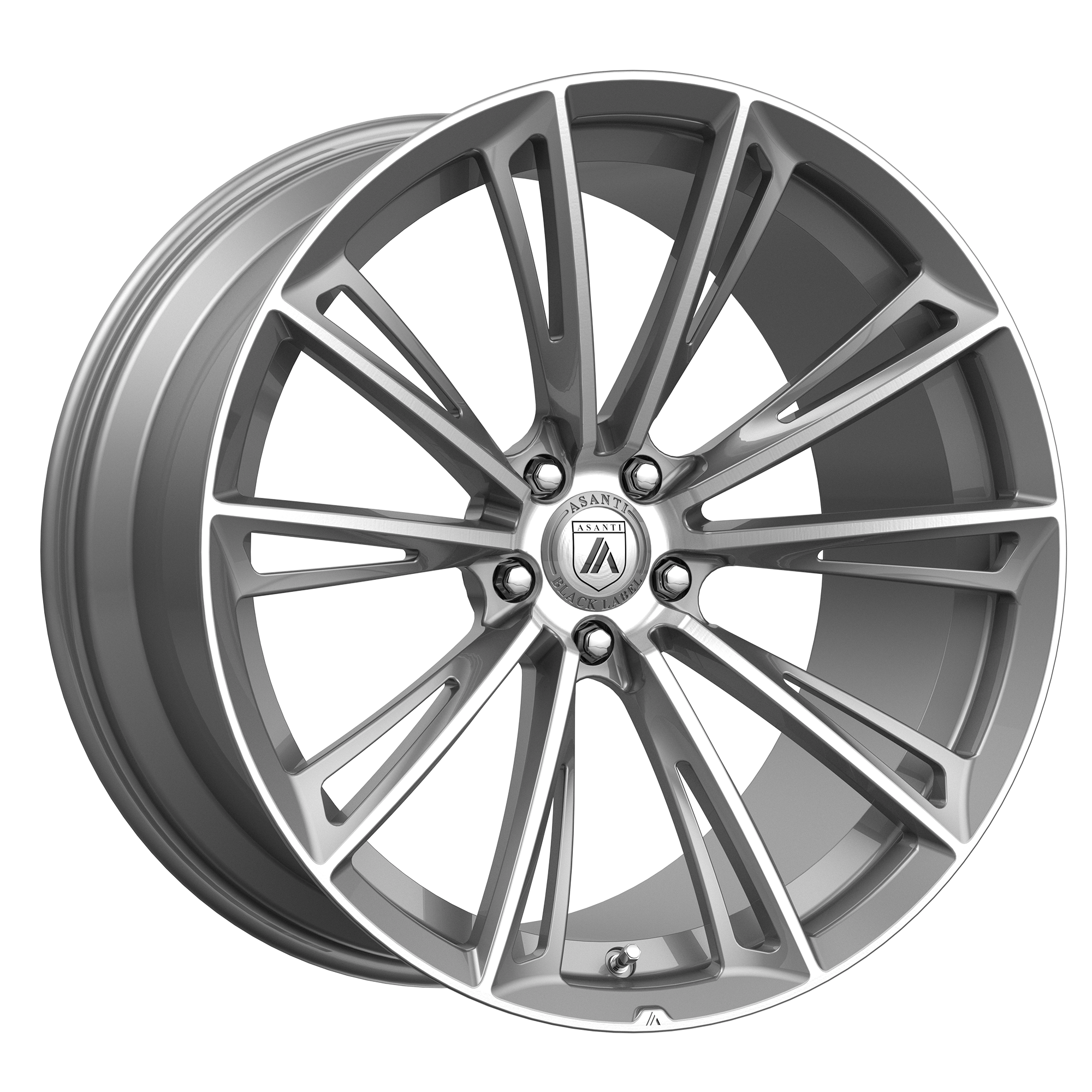 22x9.5 Asanti Black Label Wheels ABL30 CORONA 6x120 30 offset 66.9 hub GRAY - ABL30-22957730TB